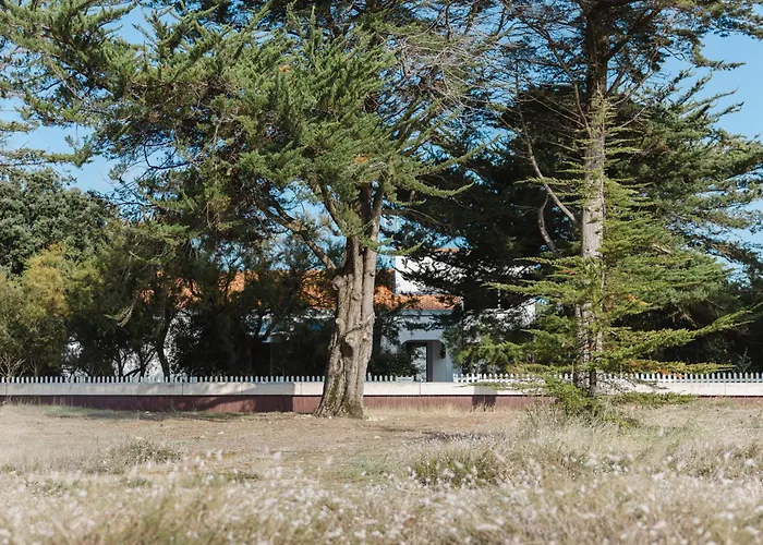 Kallisté - Splendide - Vue